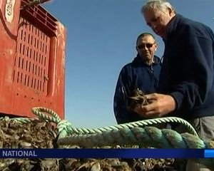 femme charente maritime